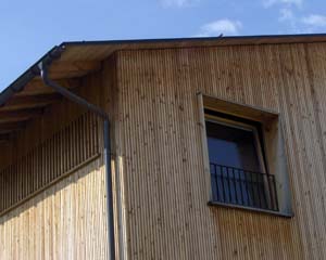 Ausschnitt Einfamilienhaus in Castrisch