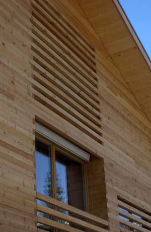 Doppeleinfamilienhaus Casa Rosa Glienda, Flims